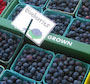 blueberries at market cart