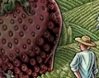 strawberry cover